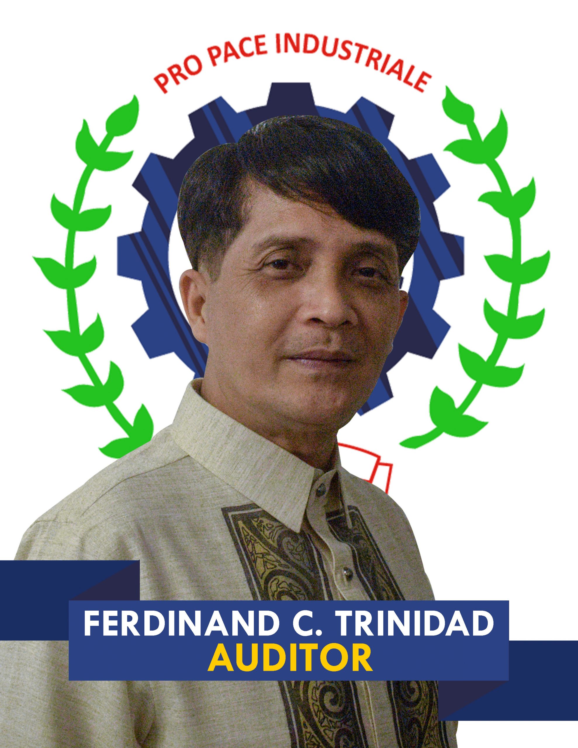 ferds-auditor ferds-auditor